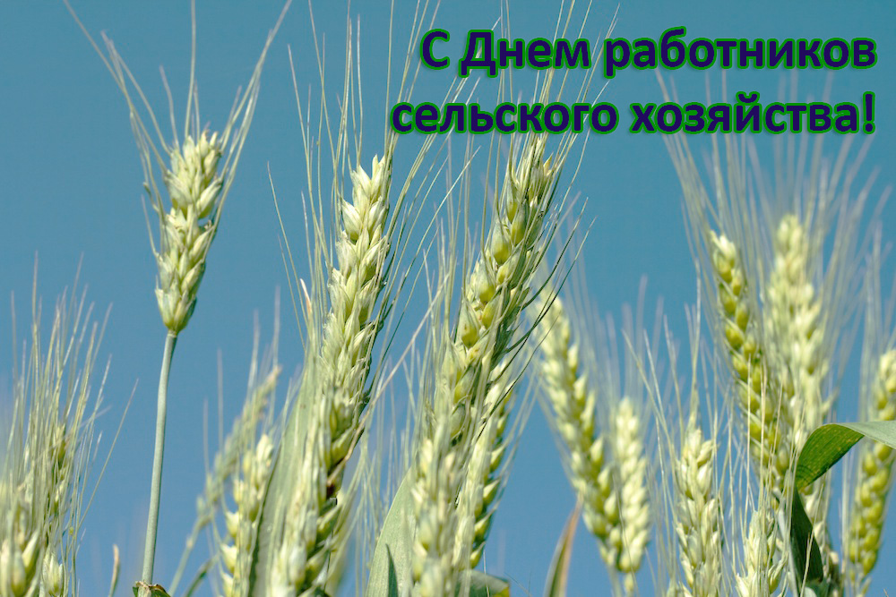 Специальные условия для сельхозпредприятий! в Нижнем Новгороде